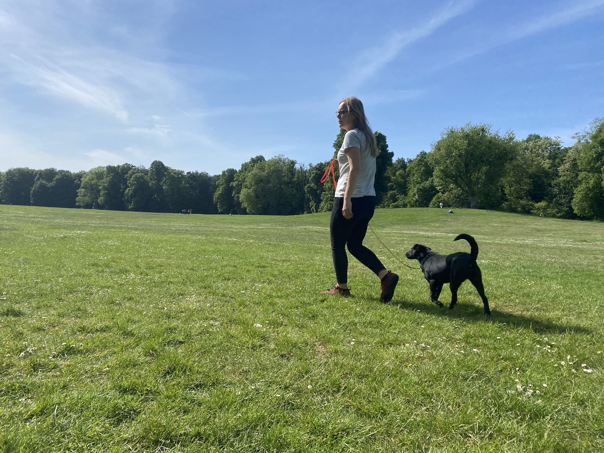 Social Walk - Trainerin Tina geht mit Tessa an der Leine spazieren.