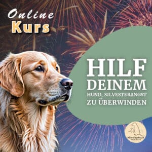 Produktbild Onlinekurs Silvesterangst