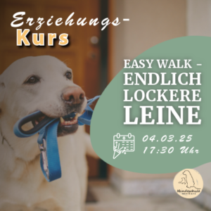 Easy Walk: Endlich lockere Leine beim Hundespaziergang