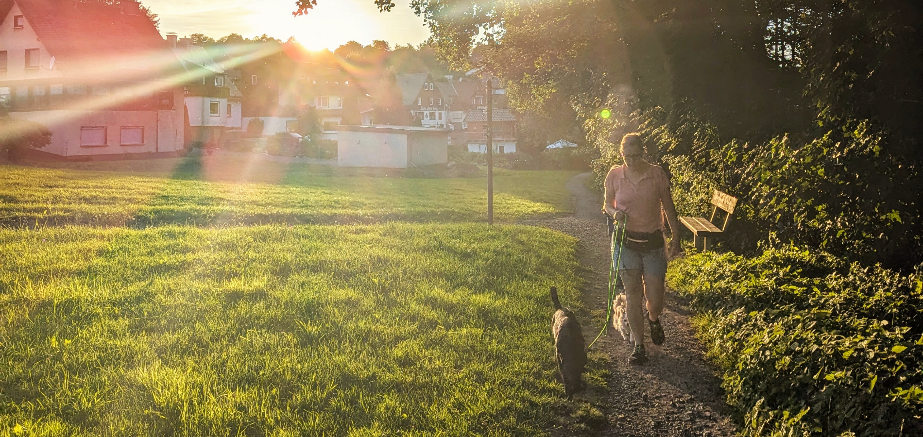 Leinenführigkeit leicht gemacht: Lockere Leine im Hundetraining