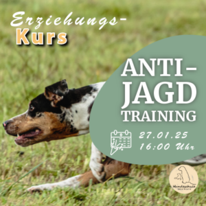 Kurs - Anti - Jagd Training (8 Wochen)