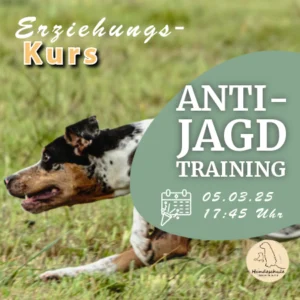 Produktbild - Anti Jagd Training