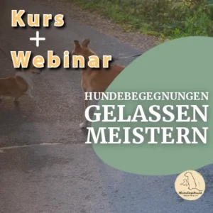 Hundebegegnungen Webinar 04.05.2025 + Kurs (3 Wochen)