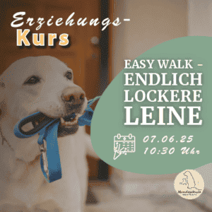 Lockere Leine - 07.06.2025 (4 Wochen)