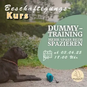 Dummytraining