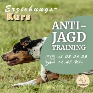 Anti Jagd Training