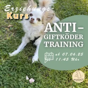 Anti Giftköder Training