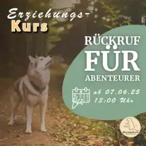 Rückruf für Abenteurer Hundetraining