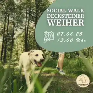 Social Walk Decksteiner Weiher