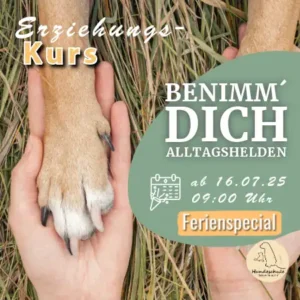Benimm dich Kurs - Hundetraining