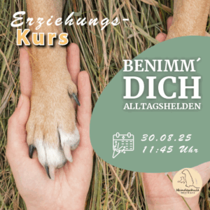30.08.25 -Kurs - Benimm Dich´ Damit Dein Hund zum Alltagsheld wird! (8 Wochen)