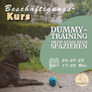 Dummytraining - mehr Spaß auf deinem Spaziergang! 26.08.2025 (4 Wochen)