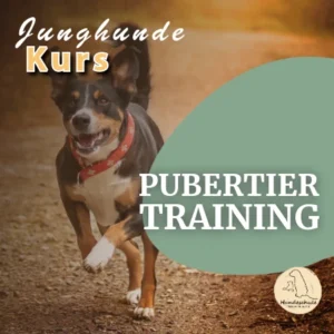 09.09.25 - Pubertier - Training (6 Wochen)