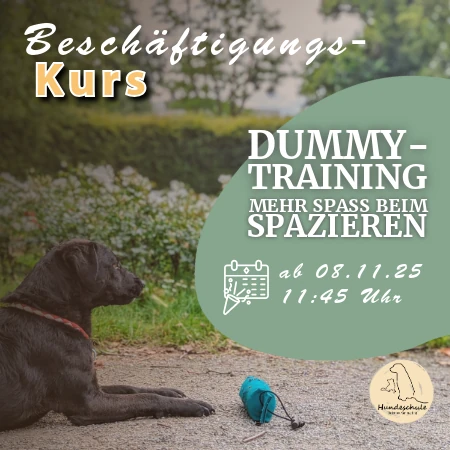 Produktbild Beschaeftigungskurs Dummytraining