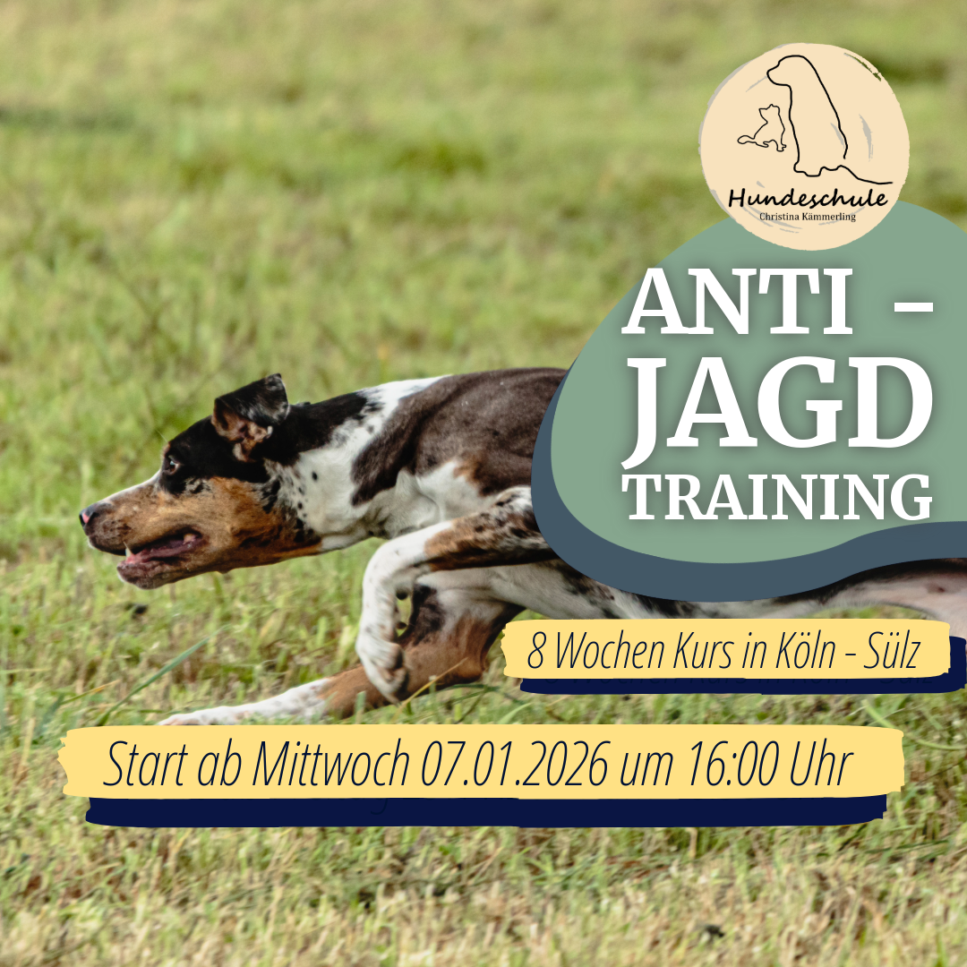 07.01.2026 Kurs - Anti - Jagd Training (8 Wochen)