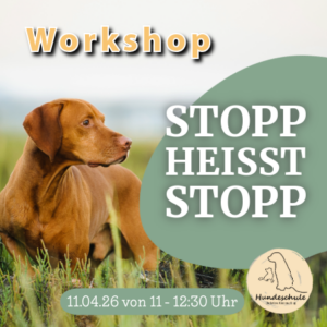 Stopp heißt Stopp – Zeit gewinnen in kritischen Momenten