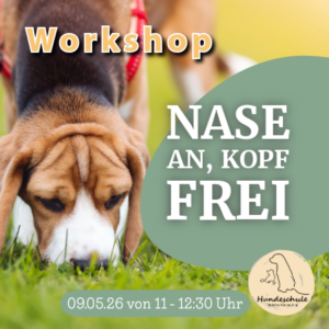 Nase an, Kopf frei – Schnüffeltraining für den Alltag