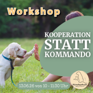 Kooperation statt Kommando – wie dein Hund lernt, mit dir zu arbeiten