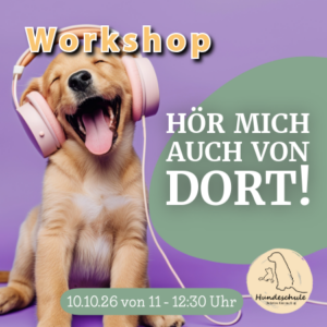 Hör mich auch von dort – Ansprechbarkeit auf Distanz