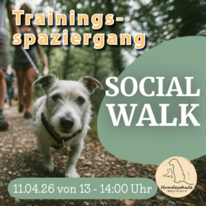 11.04.26 - 13 Uhr - Social Walk Decksteiner Weiher Köln