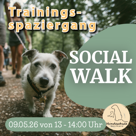 09.05.26 - 13 Uhr - Social Walk Decksteiner Weiher Köln