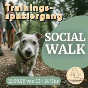 12.09.26 - 13 Uhr - Social Walk Decksteiner Weiher Köln